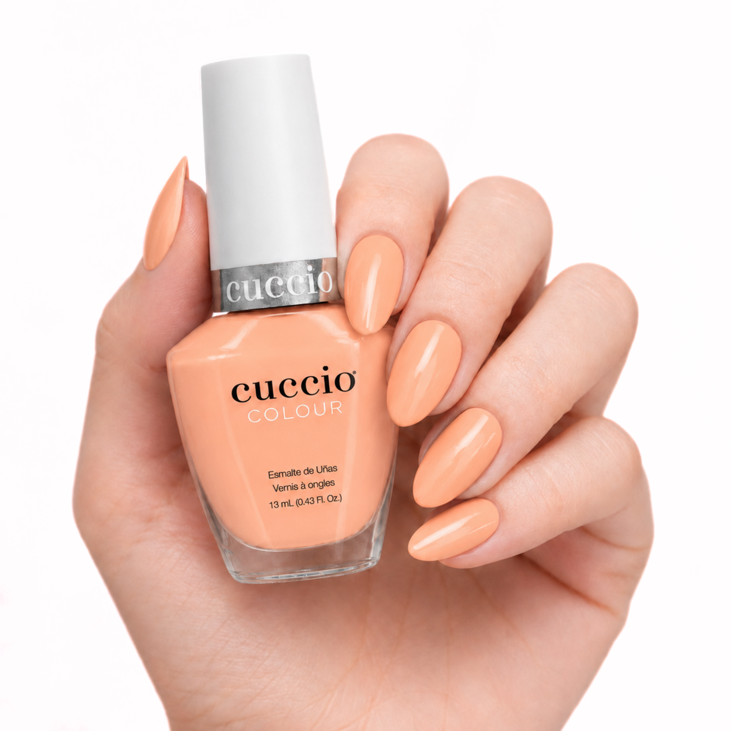 Nail Lacquer 6-Pack
