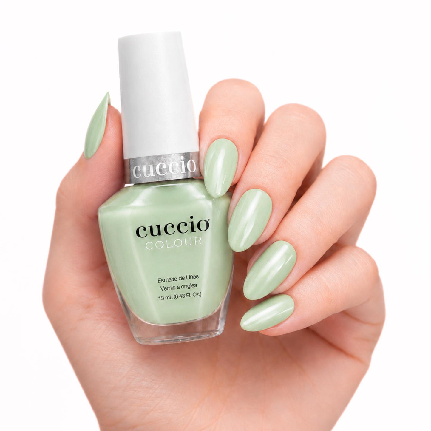 Nail Lacquer 12-Pack