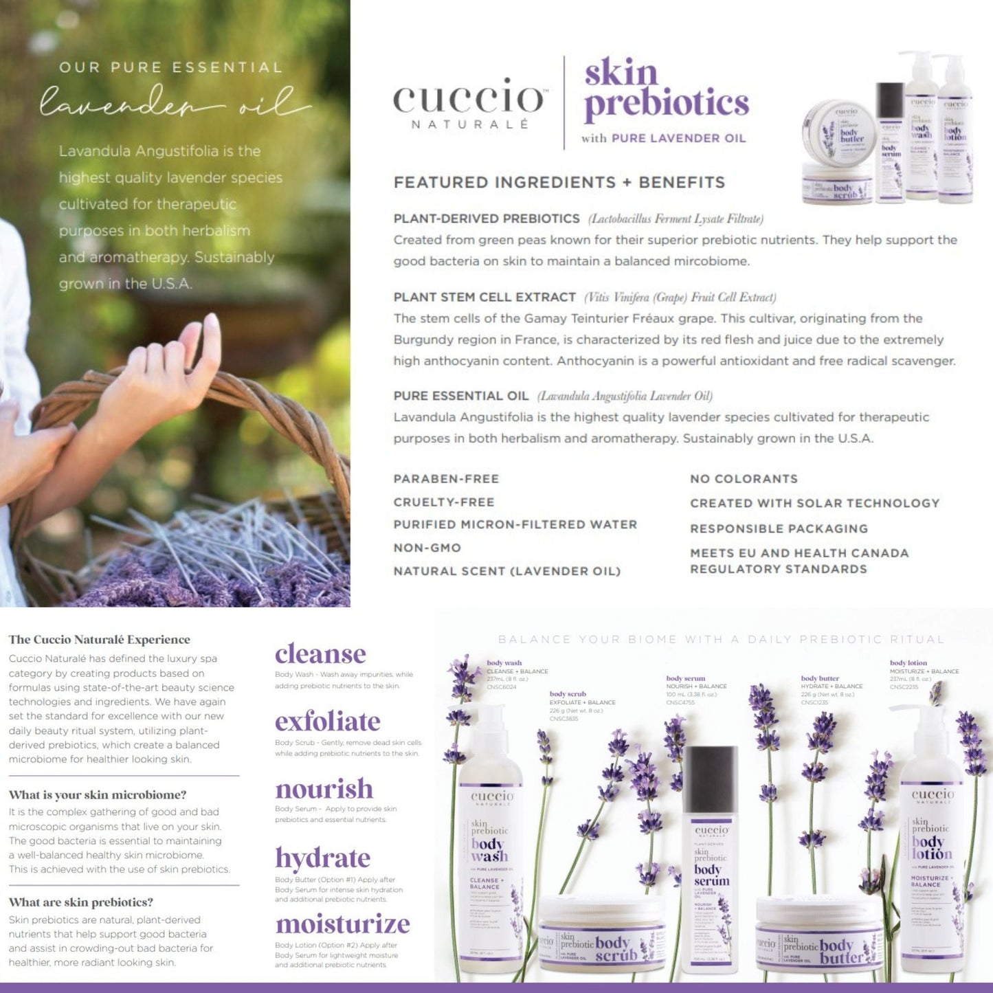 Skin Prebiotic Body Care Collection + Display