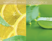Load image into Gallery viewer, White Limetta &amp; Aloe Vera Butter Blend 8oz
