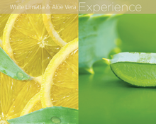 Load image into Gallery viewer, Lyte Butter Blend White Limetta &amp; Aloe Vera 32oz
