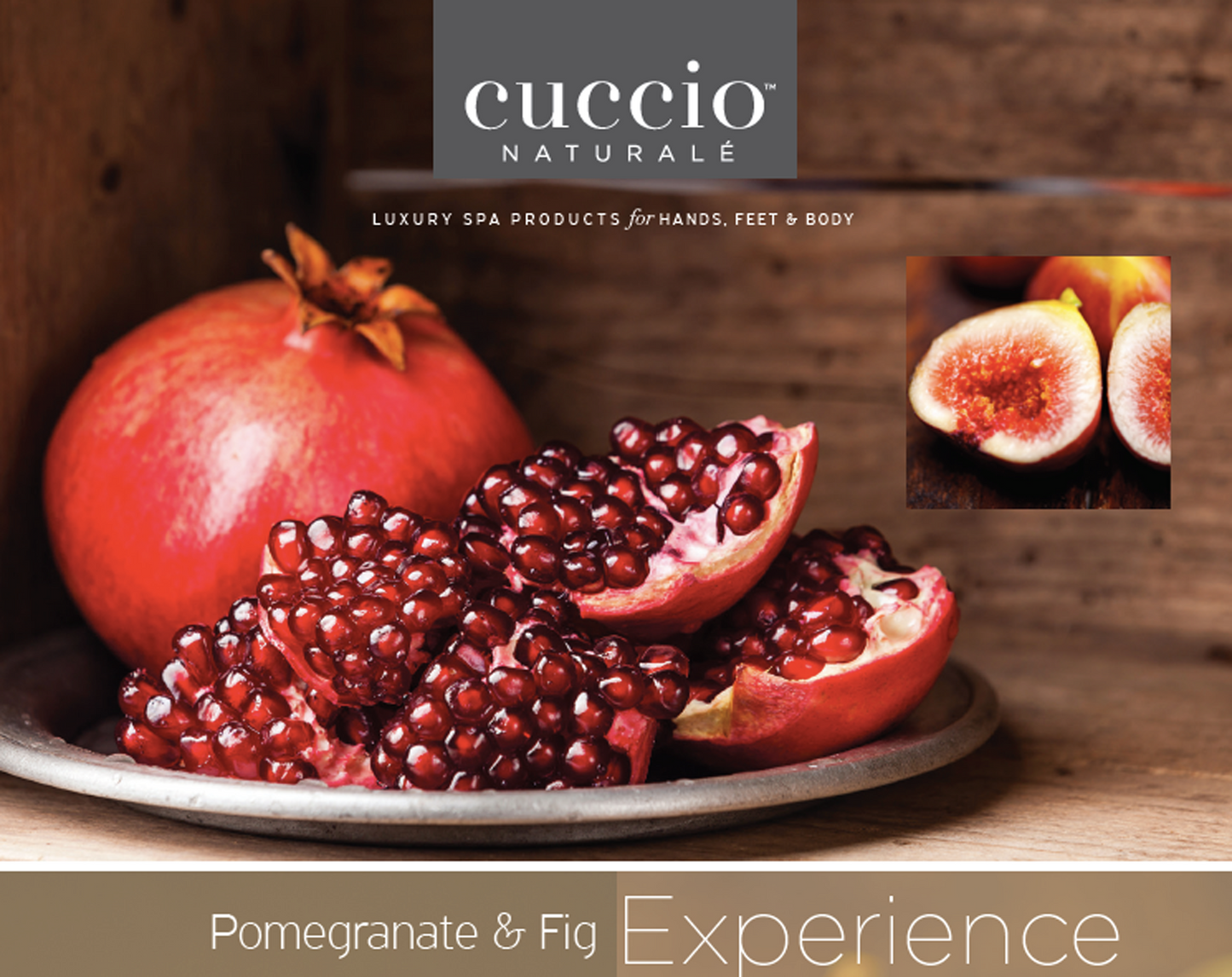 Pomegranate & Fig Hand & Body Detox Wash