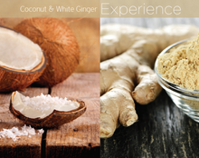 Load image into Gallery viewer, Lyte Butter Blend Coconut &amp; White Ginger 32oz
