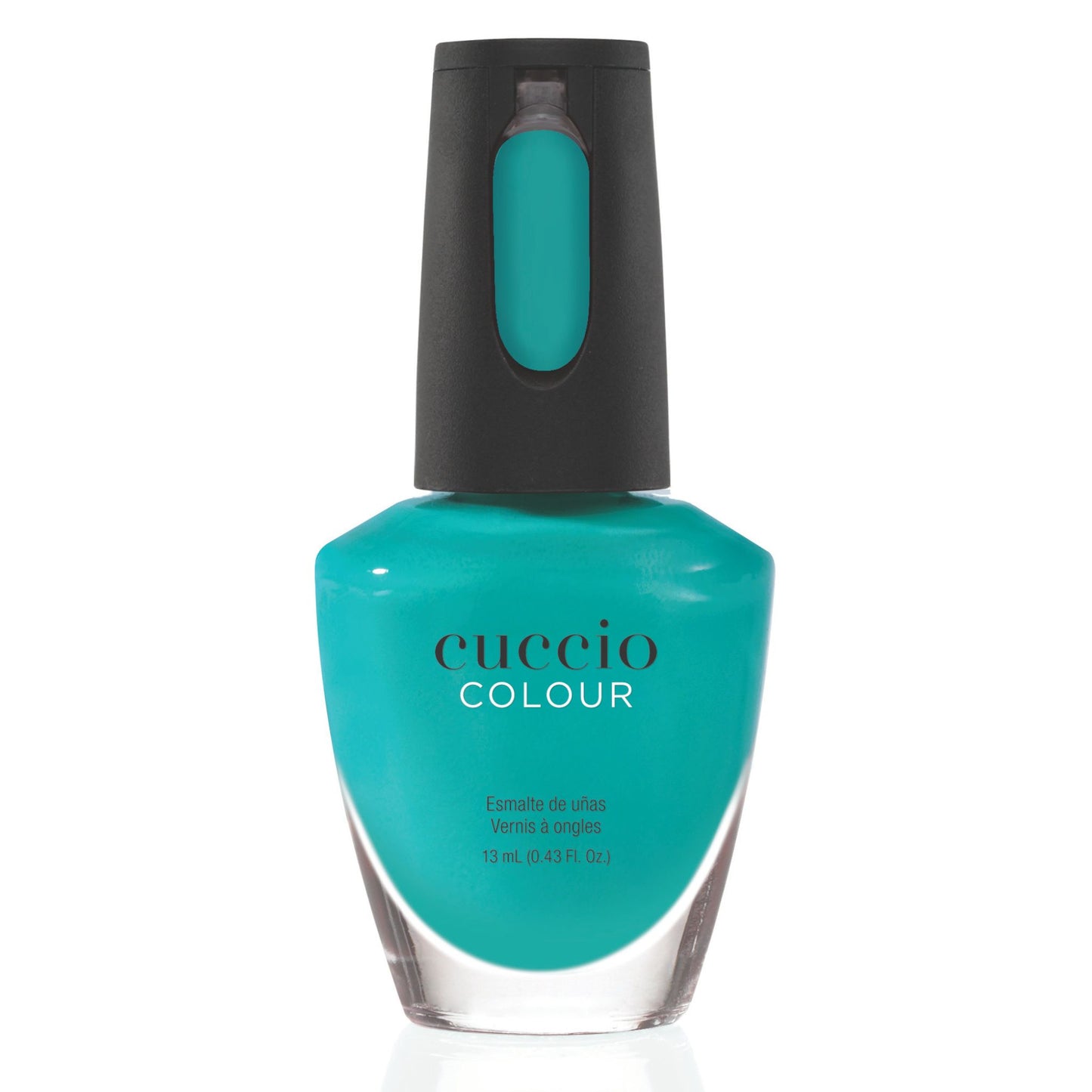 Elevated Ease - Cozy Chic Collection