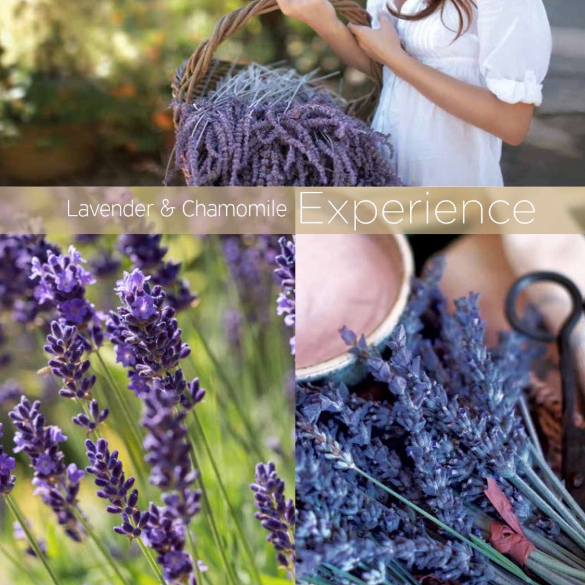 Cuticle Oil ~ Lavender and Rosemary Cuticle Oil Pen – LeChic Bath Boutique