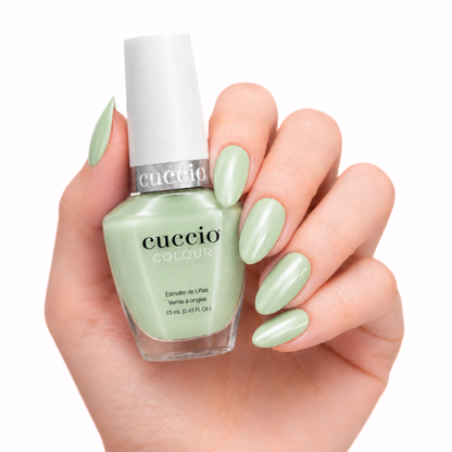 Builder Gel Pro Starter Kit + 12 FREE Lacquers