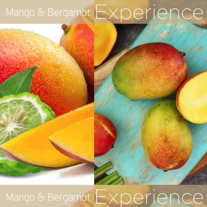 Mango & Bergamot Cuticle Oil 1/2oz