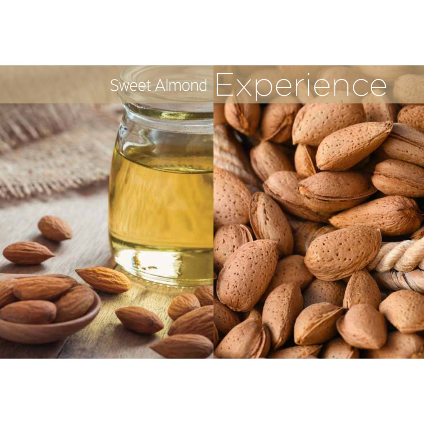 Dry Body Oil + Cuticle Oil - Sweet Almond