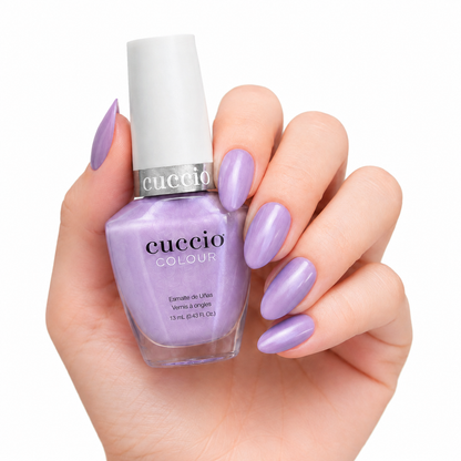 Builder Gel Pro Starter Kit + 12 FREE Lacquers