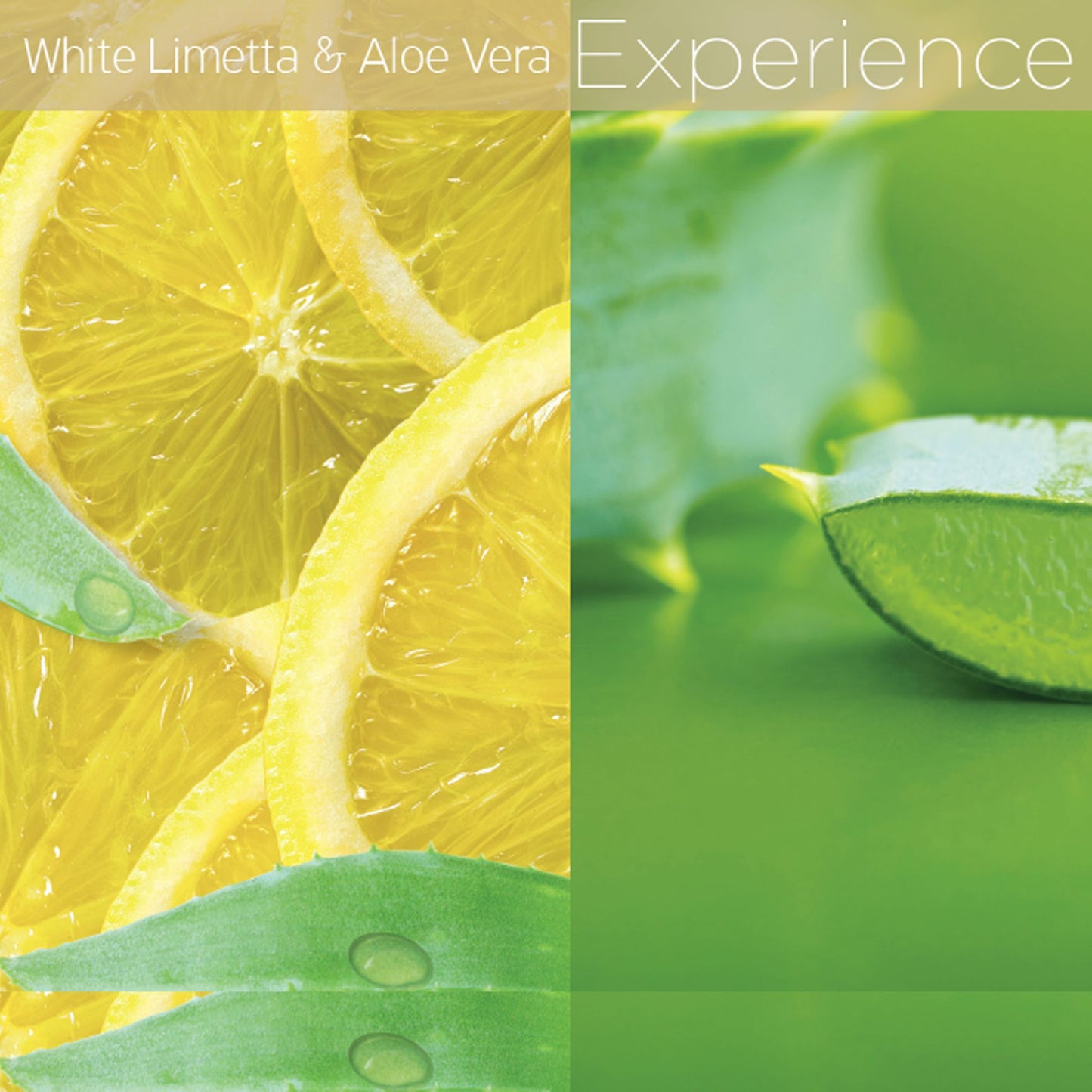 White Limetta & Aloe Vera Scentual Soak